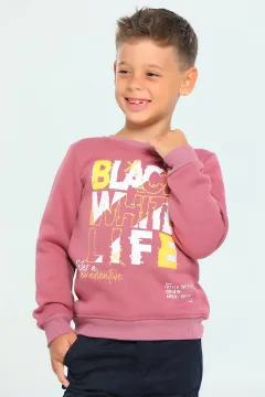 Erkek Çocuk Likralı Baskılı Sweatshirt Gülkurusu