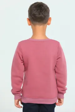 Erkek Çocuk Likralı Baskılı Sweatshirt Gülkurusu