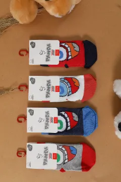 Panda Erkek Bebek 4'lü Çorap Renkli